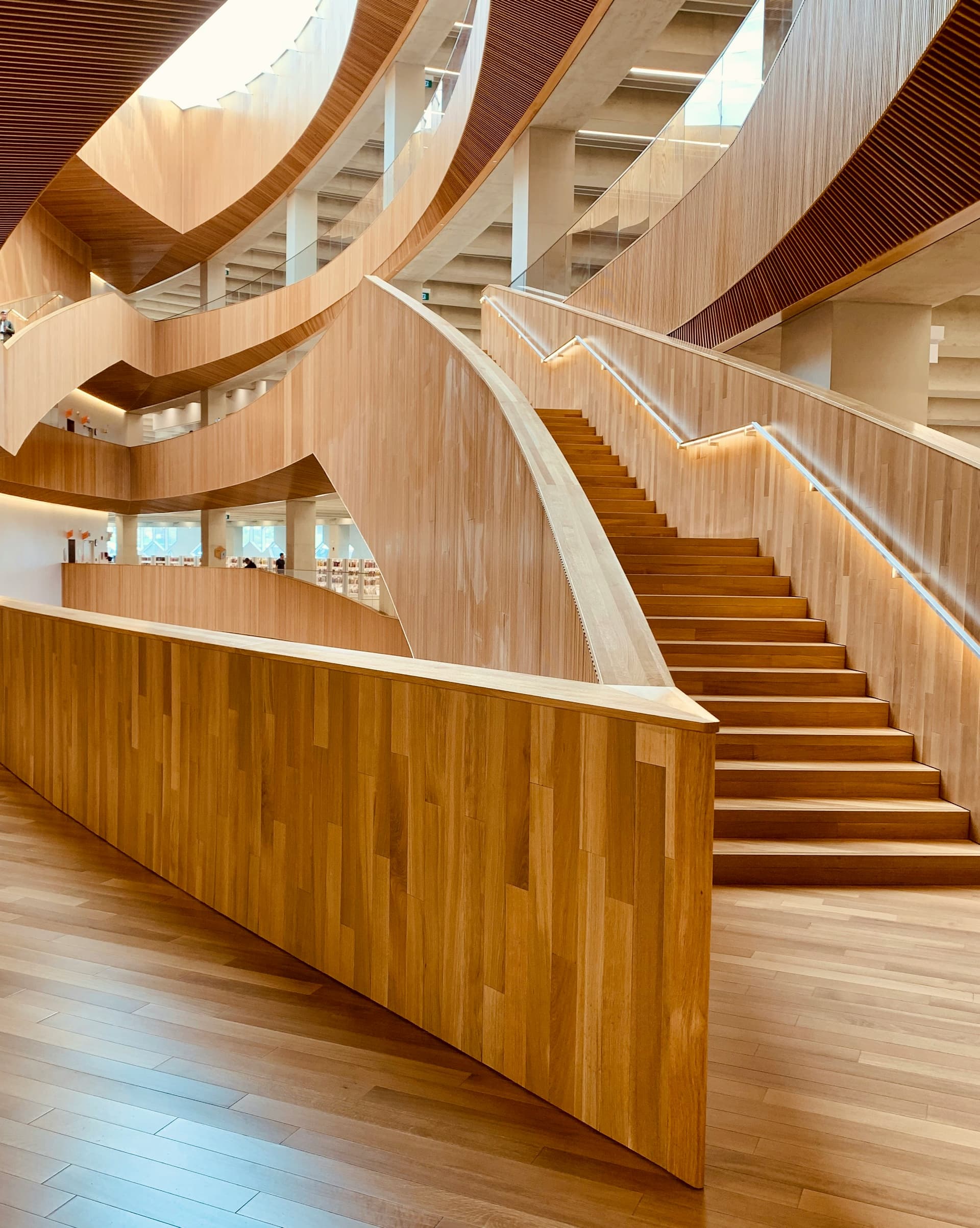 Premium plywood